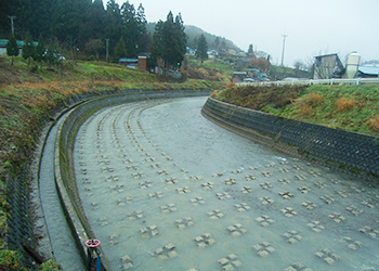 県単河川等環境維持修繕工事