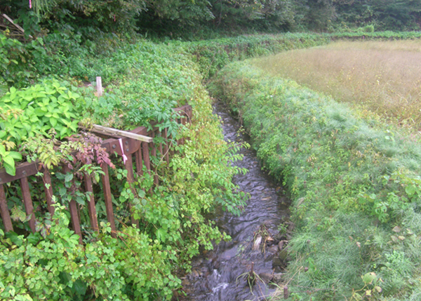 下繋沢地区機能強化・老朽化対策工事